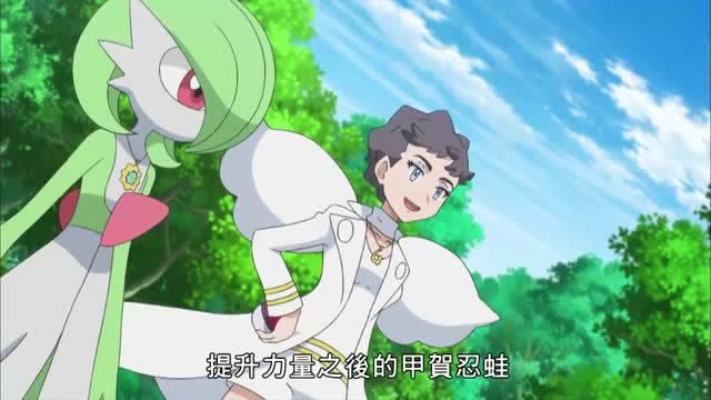 精灵宝可梦xyz卡露乃小姐提出与小智对战小智直接就答应了