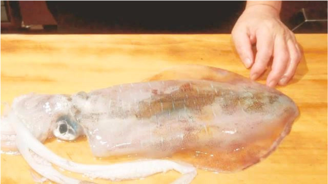 看看大厨怎么处理乌贼厨艺精湛处理完的乌贼肉真干净