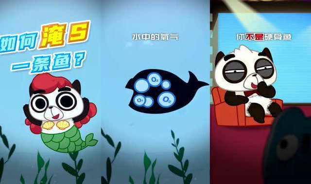 摩登大自然:没有鱼鳍的鲨鱼之后都怎么样了!