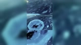 光遇：我知道你在等我