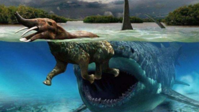 鲸鲨和巨齿鲨,哪个更大一些?最新研究给出答案,巨齿鲨甘拜下风