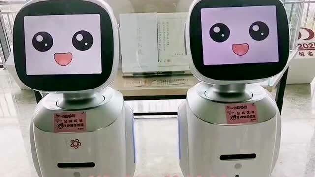 旺宝图图心有灵犀,连说出的话都一模一样!