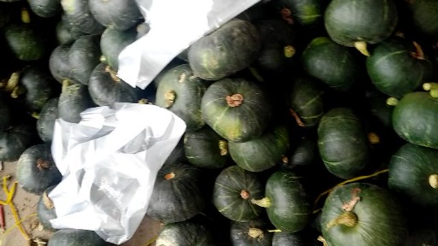 黑金南瓜,云南瑞丽,缅甸种植,粉,面,甜