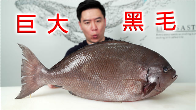 试吃一条巨大黑毛鱼,用两种顶级做法,出锅后赚大了