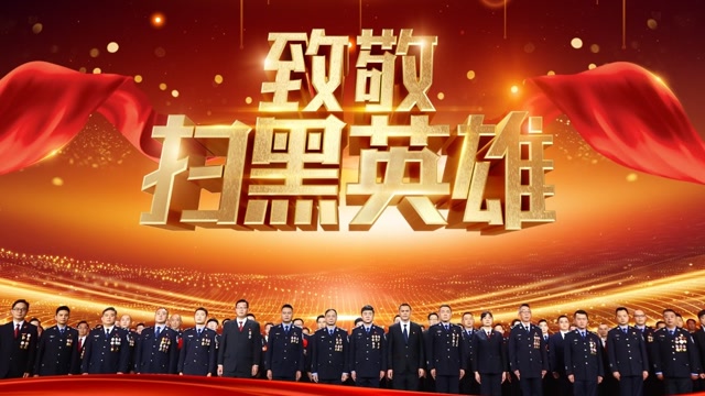 致敬扫黑英雄