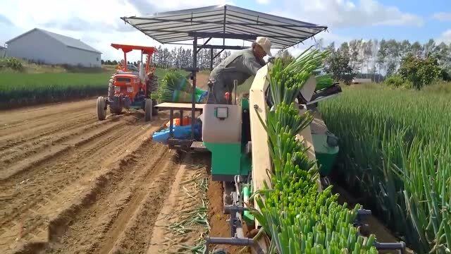 日本的现代农业机械创新技术,机械化收获就是先进,不得不服