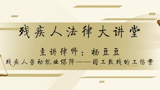 残疾人劳动就业保障—因公致残的工伤案(2)—杨豆豆