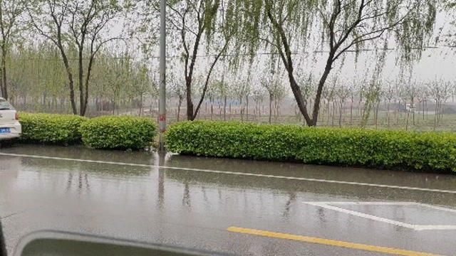 小雨蒙蒙,接娃下学