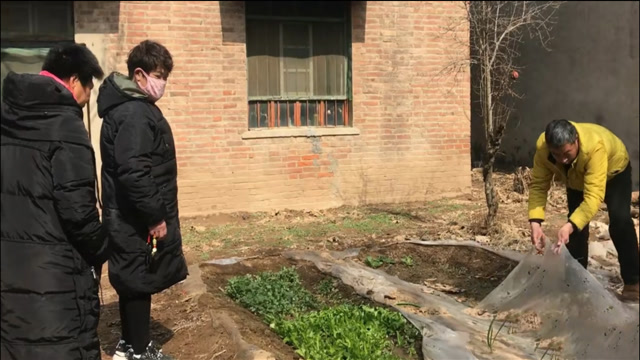 花姐评论区:他哥哥一个月内接回安安,福记幸福日子要来了?