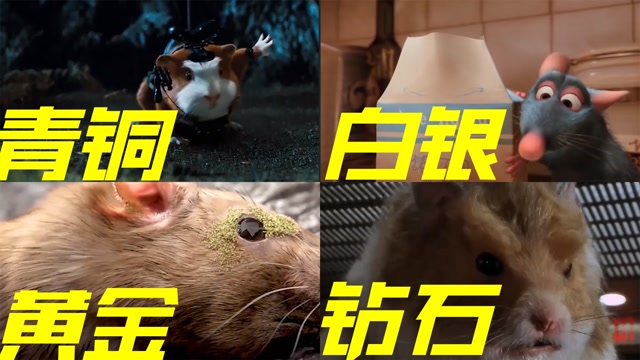 四部电影中的变异老鼠,这老鼠是成精了吗,还会做饭#电影种草指南短