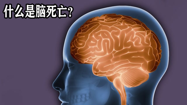 什么是脑死亡?死亡的判定标准,科学给出解释!#"知识抢先知"征稿大赛