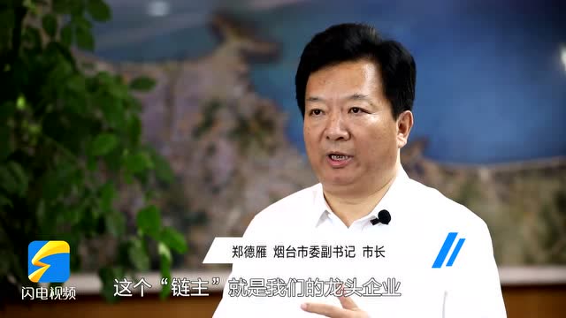 专访烟台市委副书记市长郑德雁把产业链建在园区上推动县域经济高质量
