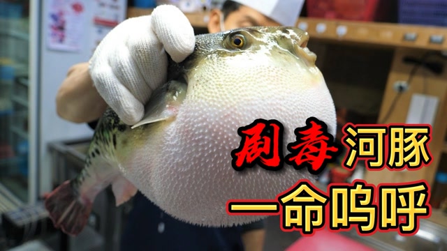 河豚有毒,为什么还有人去吃?