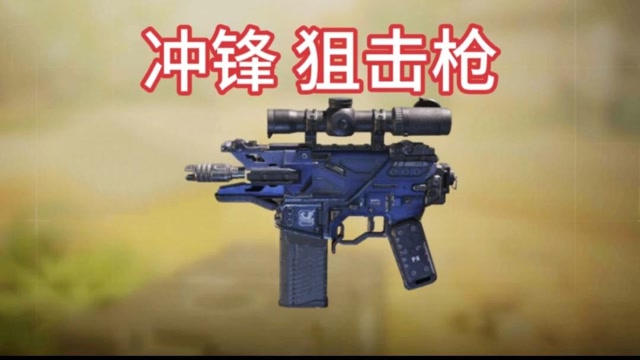 你管这叫突击步枪这是冲锋狙击枪drmk2使命召唤手游