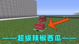我的世界魔化植物大战僵尸生存第六期:超级辣椒西瓜