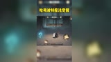 哈利波特魔法觉醒：今天才知道，原来禁林里的兔子会给阿瓦达索命#新星发掘计划#