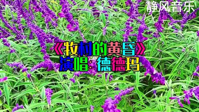 内蒙民歌《牧村的黄昏》演唱:德德玛