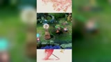 王者荣耀：这波操作，属实是恶心死我了