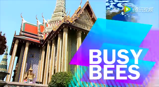 bee团队泰国之旅花絮