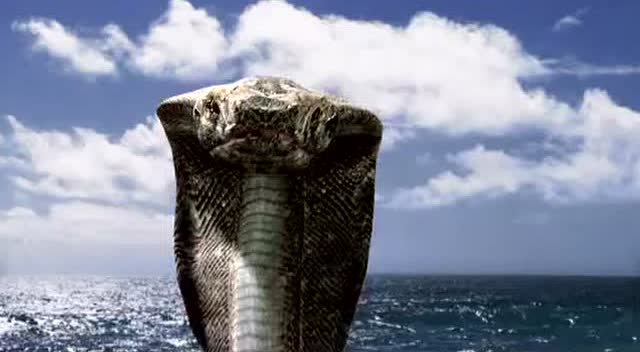 不知道是什么时候从海里浮出来一条巨蟒,将船上的人吃掉