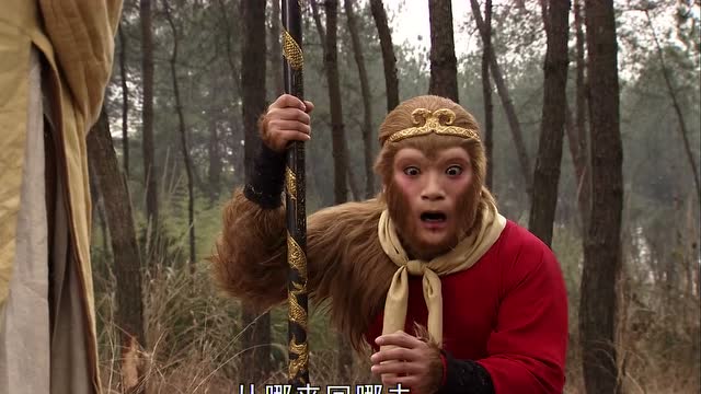 唐三藏告诉齐天大圣孙悟空你打死了无辜,就是取了经回来又有何用