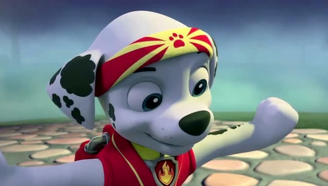 旺旺队:猫咪们练过武功就是不一样,毛毛都被他们打败了