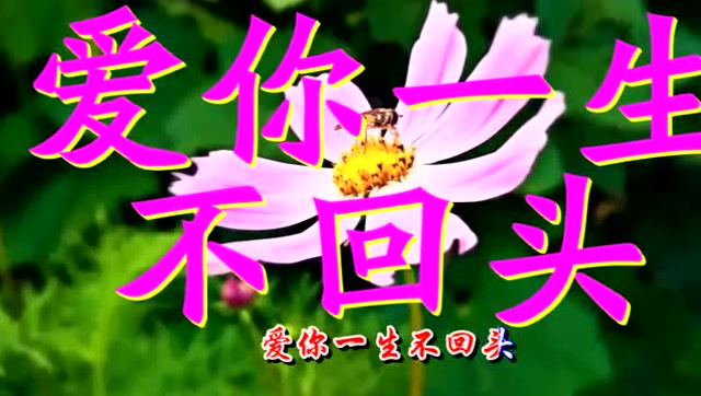 一首《爱你一生不回头》送给你我最爱的人,爱你,就是我的唯一!