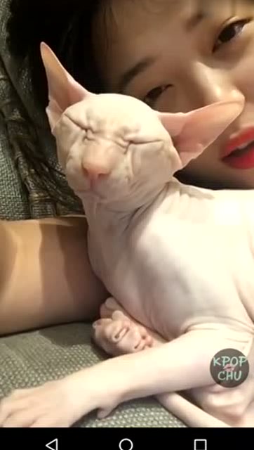 崔雪莉一段与猫玩耍的视频引起争议,部分网友质疑其虐待小动物