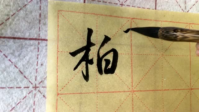 青葵书斋王陈斌老师讲行书百家姓-柏