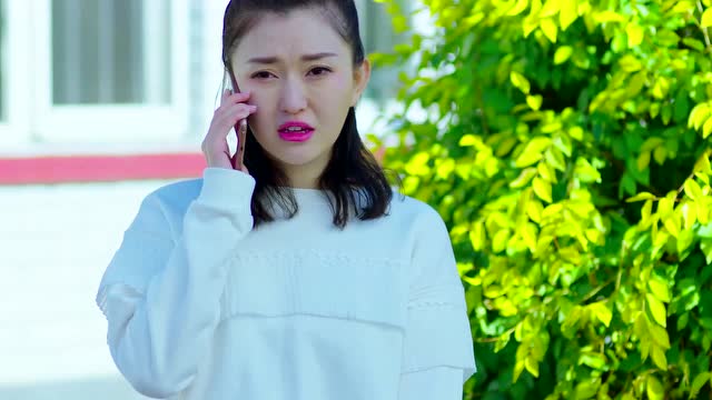 《乡村爱情9》黄一芝想去白清明那上班,大脚和黄世友就有希望!