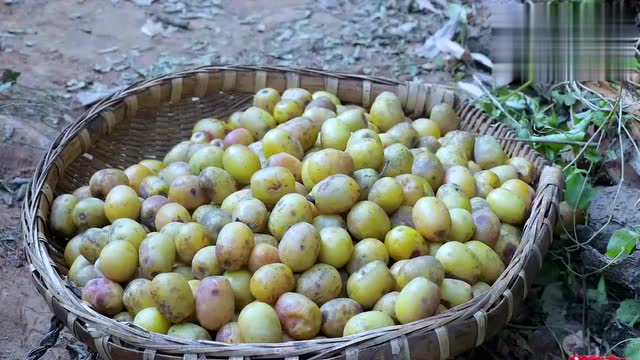 雪霜过后的酸枣儿,做成枣糕会更甜呢!