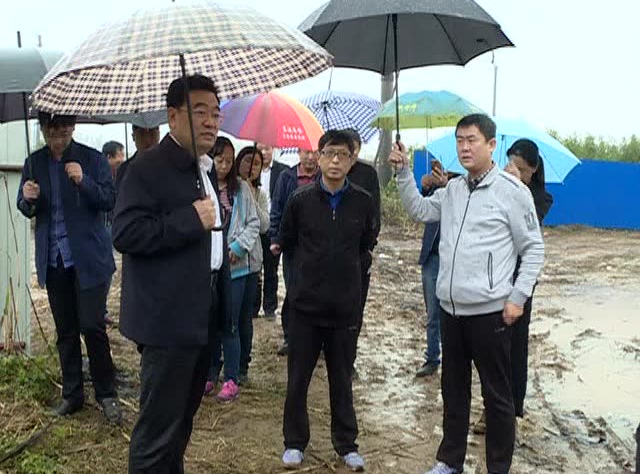 田红军督导集中供热