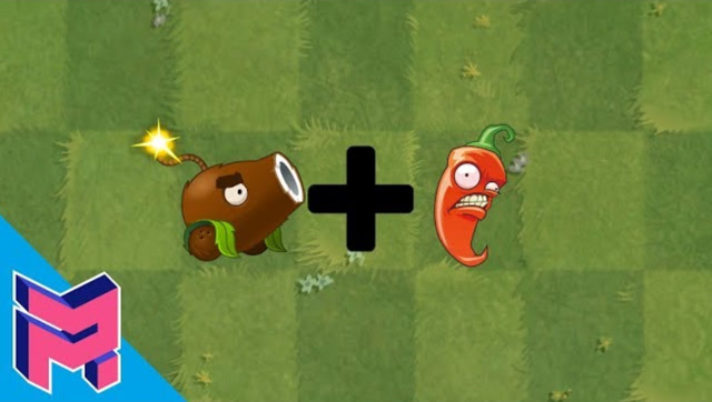 当椰子加农炮和火把辣椒合体后,这是我见过最厉害的植物了