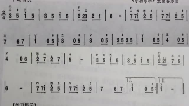 王国潼二胡基础300首小狗乖乖p13练习22(80)