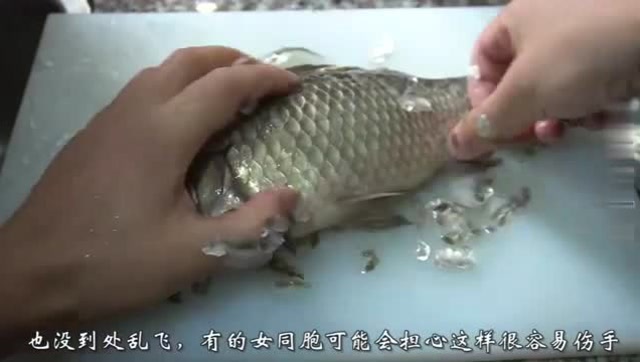 刮鱼鳞不用任何工具,老师傅教我一招,刮得干净不麻烦