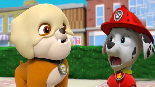 狗狗巡逻队小砾不小心弄得浑身都是面粉汪汪队立大功