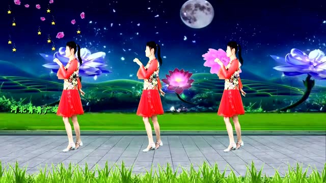 大众流行广场舞《小小新娘花》轻柔动听,唯美清新,歌醉舞美