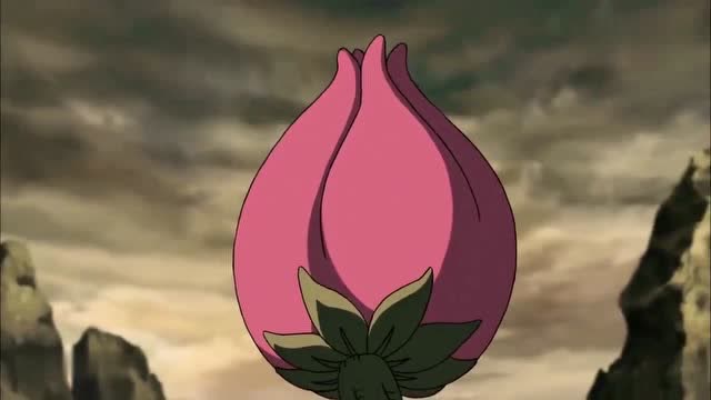 秽土斑:木遁花树界降临,这时五影只能一脸懵逼