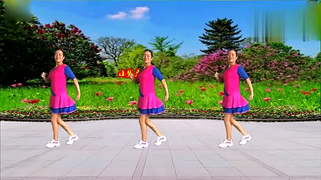 广场舞《花蝴蝶》时尚好看附分解