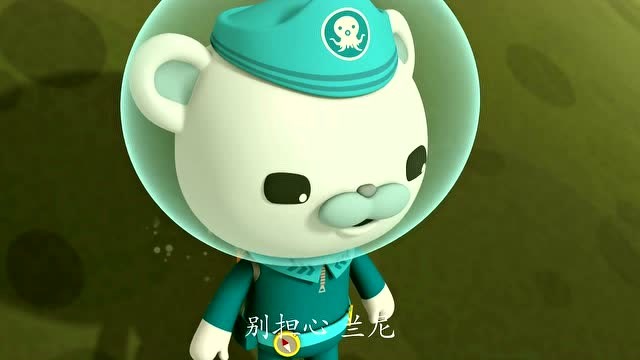 海底小纵队:红海龟告诉队长自己的头跟蹼太大没办法缩回壳里