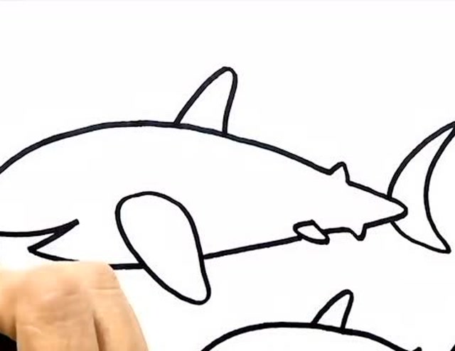 亲子绘画时光,教你如何画鲨鱼