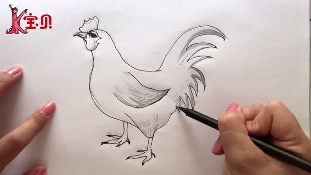 给公鸡画鸡毛,简笔画生肖鸡,教你学画飞画法