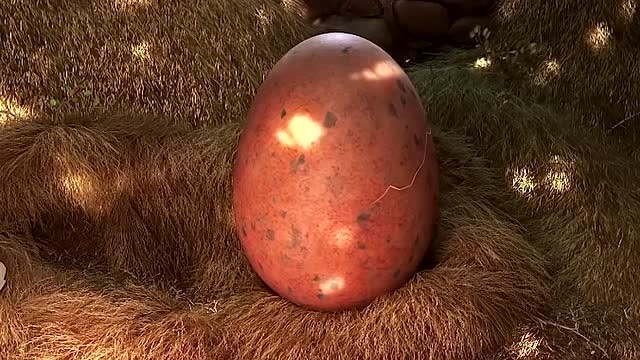 三只小恐龙相继破壳而出,最大的蛋里却生出最小恐龙,这也太萌了吧