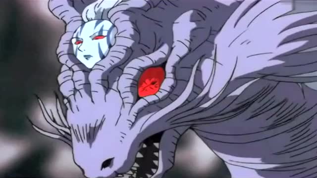 犬夜叉犬大将宿敌 龙骨精