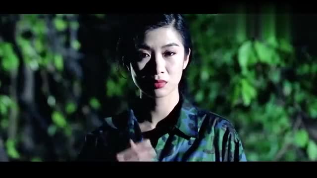 甄子丹的猎豹行动电影图片