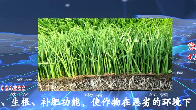 辽阳禾盛肥业锌腐酸壮秧剂