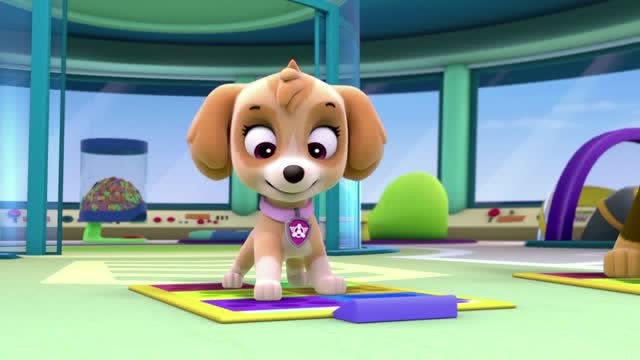 汪汪队:天天就是阿奇的跳舞机老师