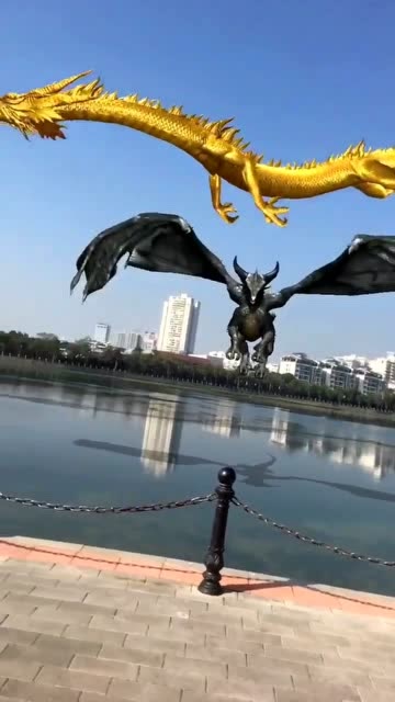 五爪金龙和双翼黑龙的对决!结果谁胜谁负?