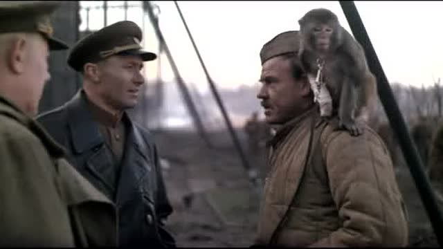 柏林战役开始,苏军攻入柏林动物园,受伤的猴子成为了苏军战俘!