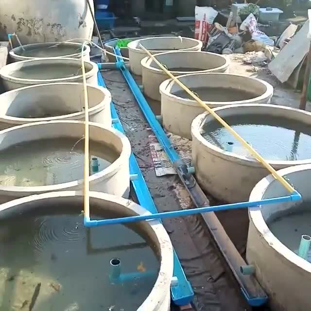 水泥圆缸!连筑十口!